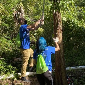 Volunteers Helping to trim the trees near the Gore Nature Education Center | Cypress Cove Landkeepers