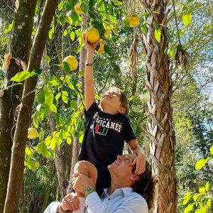 Child Reaching for a grapefruit with the help of his father: Gore Nature Education Center Gallery | Cypress Cove Landkeepers