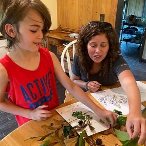 Plant Identification Session : Gore Nature Education Center Gallery | Cypress Cove Landkeepers
