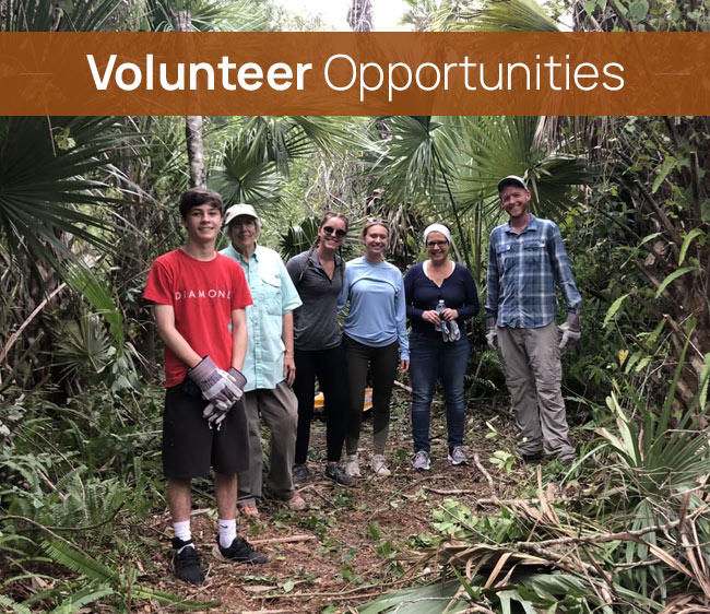 Volunteer Opportunities at Cypress Cove Landkeepers | Protecting Florida's Natural Treasures