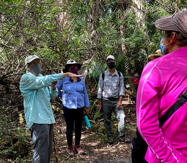 What We Do: Nature Inspired Experiences | Cypress Cove Landkeepers